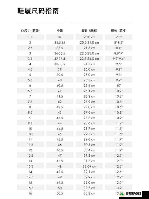 剖析欧洲尺码日本尺码：尺码标准背后的文化差异与商业策略